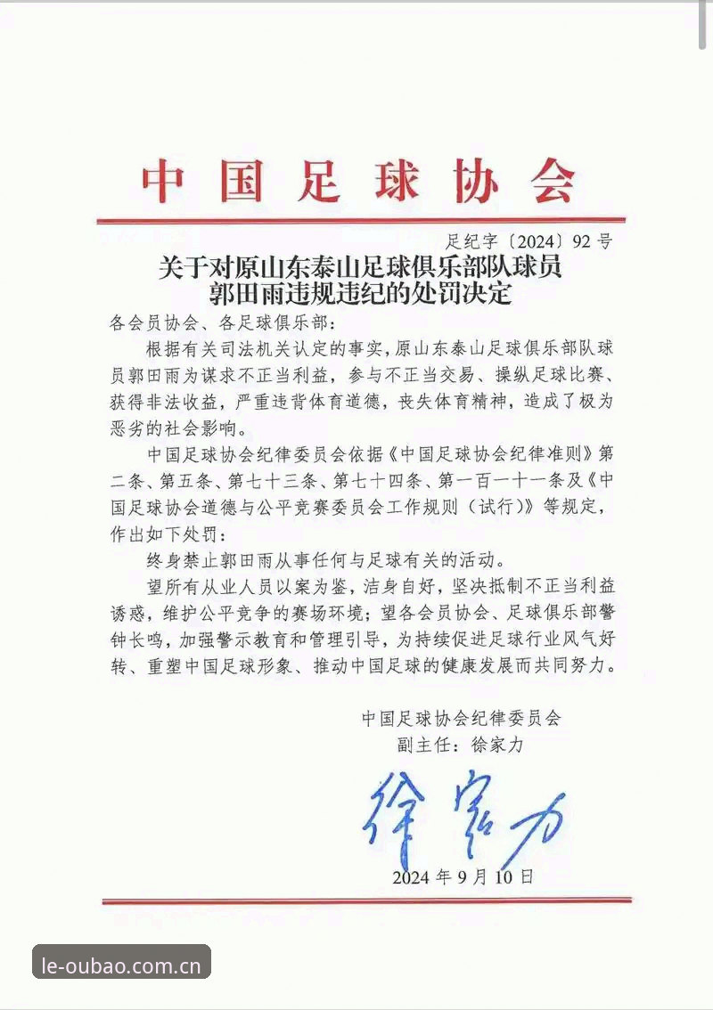 中国足协第三批禁足名单详解：17人终身禁赛背后的足球生态警示